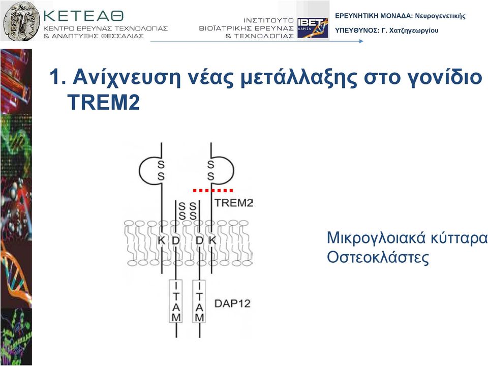 γονίδιο TREM2