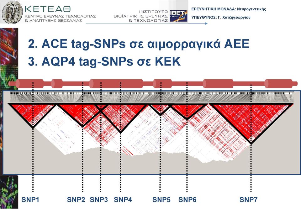 AQP4 tag-snps σε ΚΕΚ