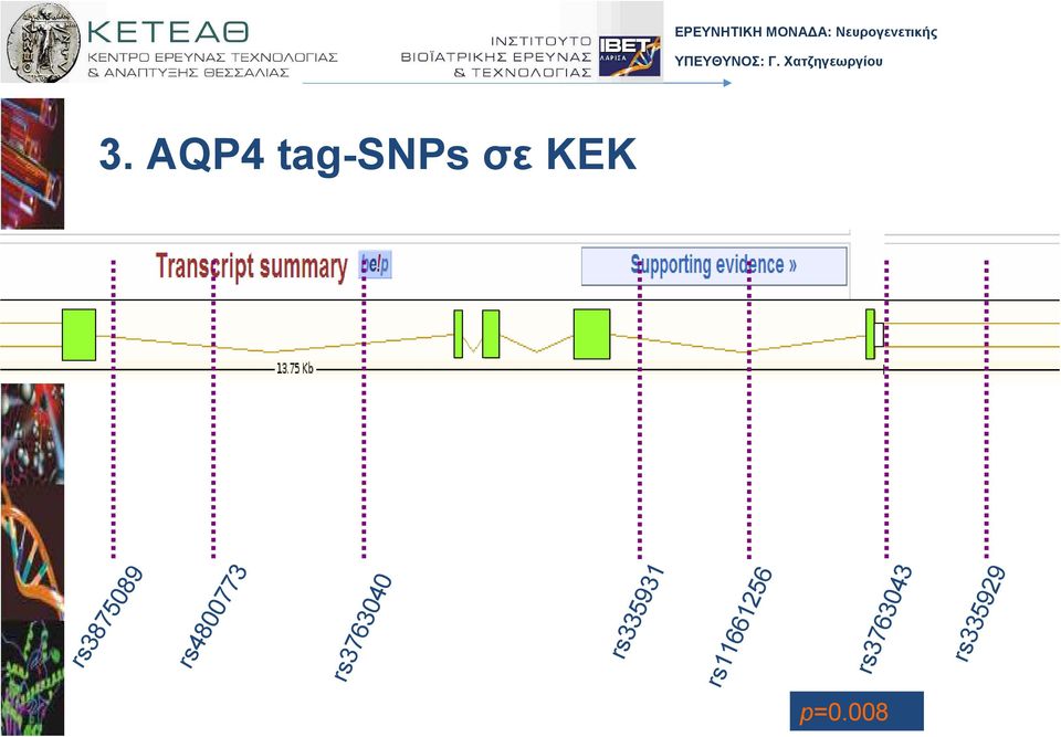 ΜΟΝΑ Α: Νευρογενετικής rs3763043