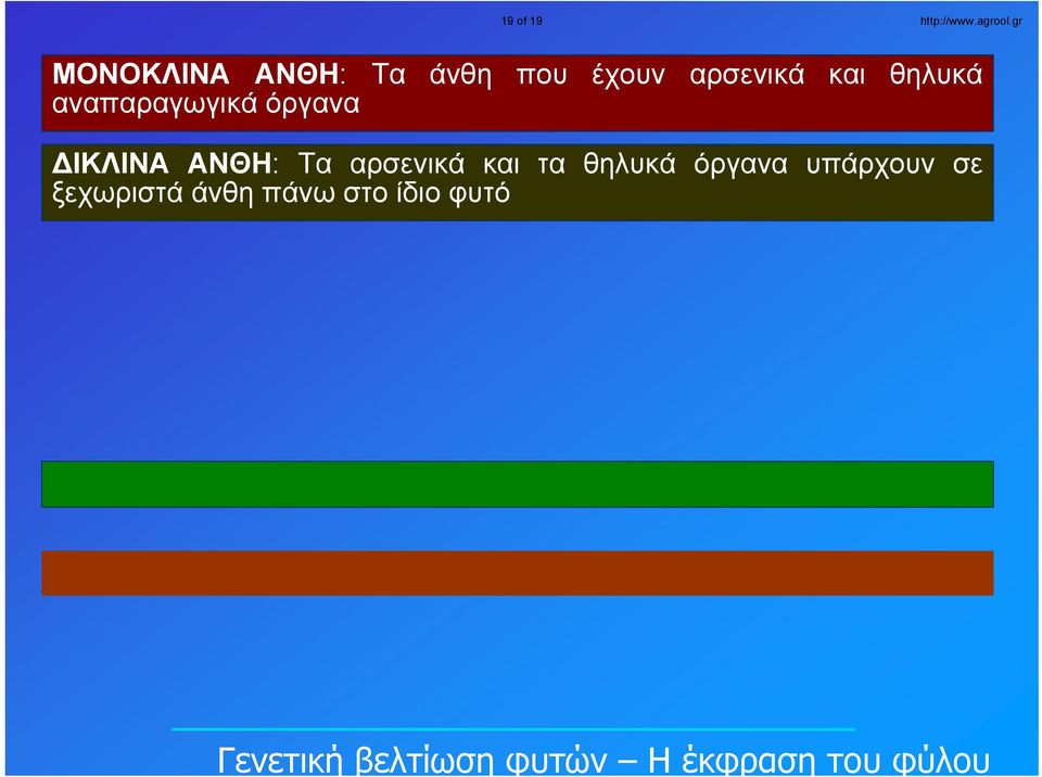 θηλυκά αναπαραγωγικά όργανα ΔΙΚΛΙΝΑ ΑΝΘΗ: Τα