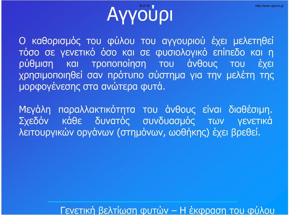 επίπεδο και η ρύθμιση και τροποποίηση του άνθους του έχει χρησιμοποιηθεί σαν πρότυπο σύστημα για την