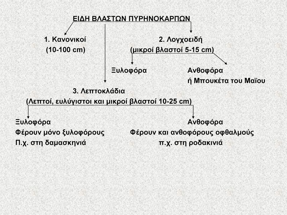 ηνπ Ματνπ 3.