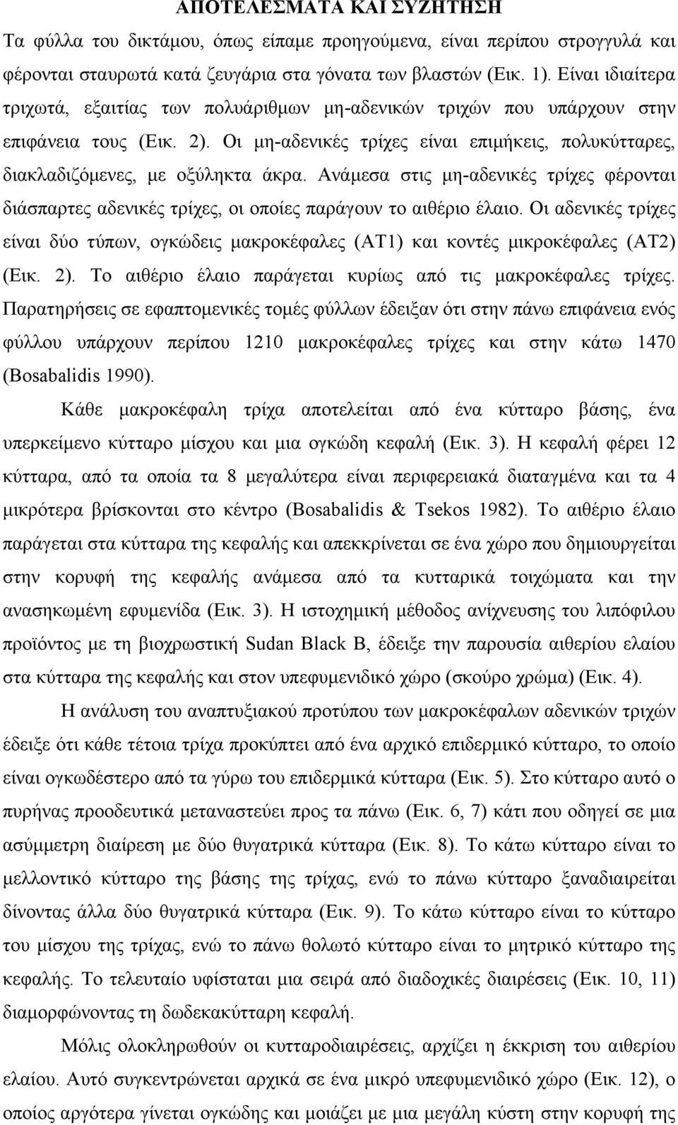 Ανάµεσα στις µη-αδενικές τρίχες φέρονται διάσπαρτες αδενικές τρίχες, οι οποίες παράγουν το αιθέριο έλαιο.