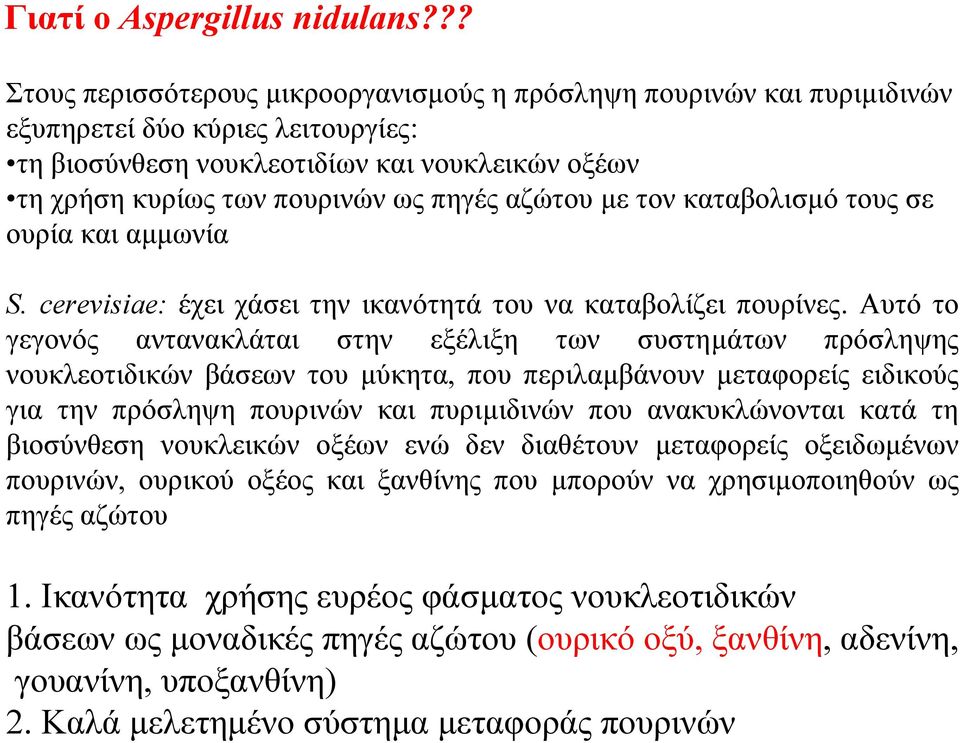 αζώτου µετονκαταβολισµότουςσε ουρία και αµµωνία S. cerevisiae: έχει χάσει την ικανότητά του να καταβολίζει πουρίνες.