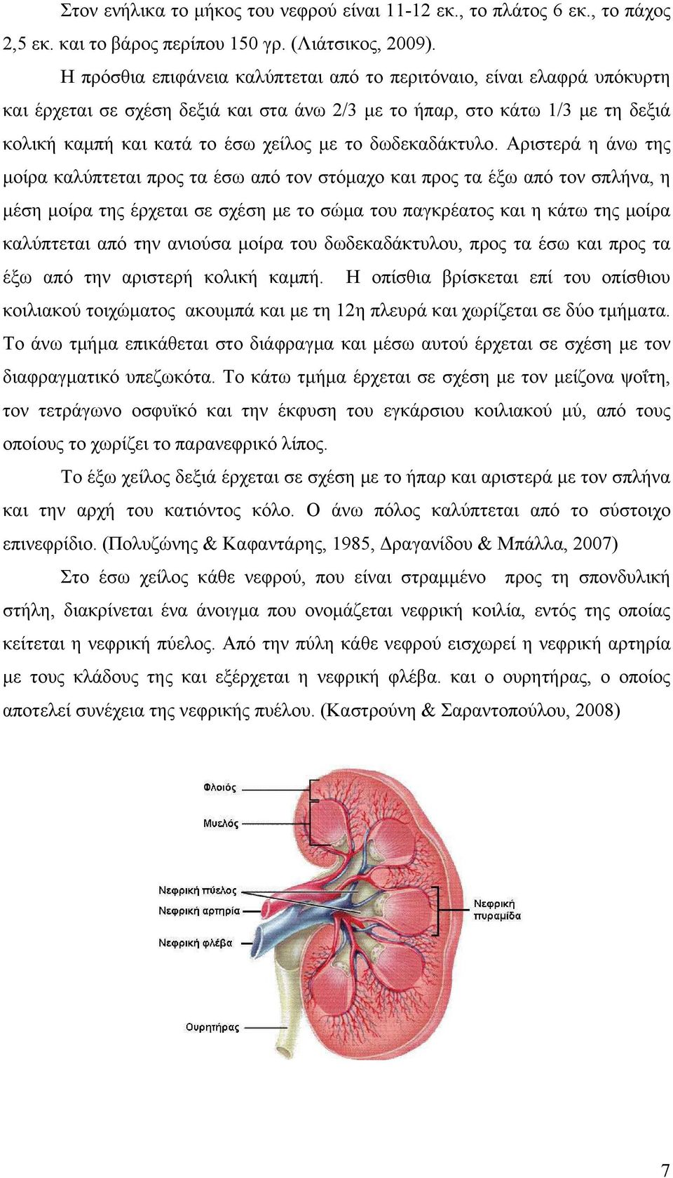 δωδεκαδάκτυλο.