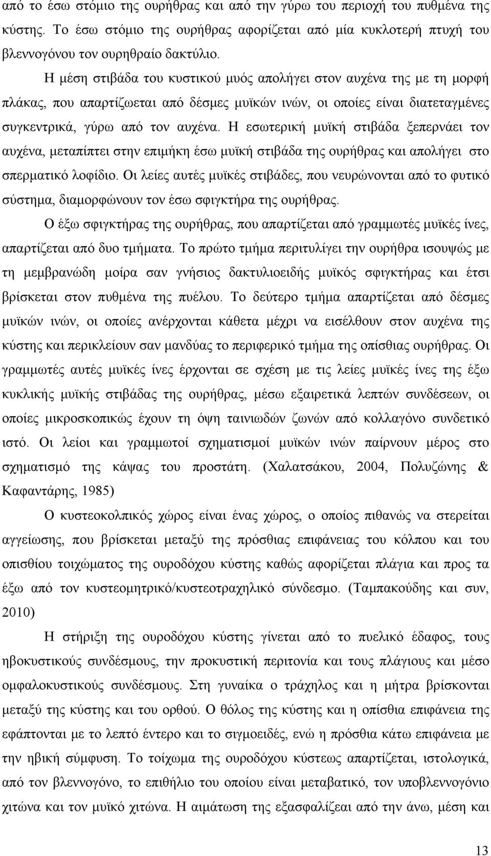 Η εσωτερική μυϊκή στιβάδα ξεπερνάει τον αυχένα, μεταπίπτει στην επιμήκη έσω μυϊκή στιβάδα της ουρήθρας και απολήγει στο σπερματικό λοφίδιο.