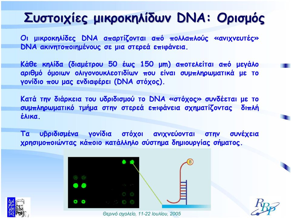 Κάθε κηλίδα (διαµέτρου 50 έως 150 µm) αποτελείται από µεγάλο αριθµό όµοιων ολιγονουκλεοτιδίων που είναι συµπληρωµατικά µε το γονίδιο που µας