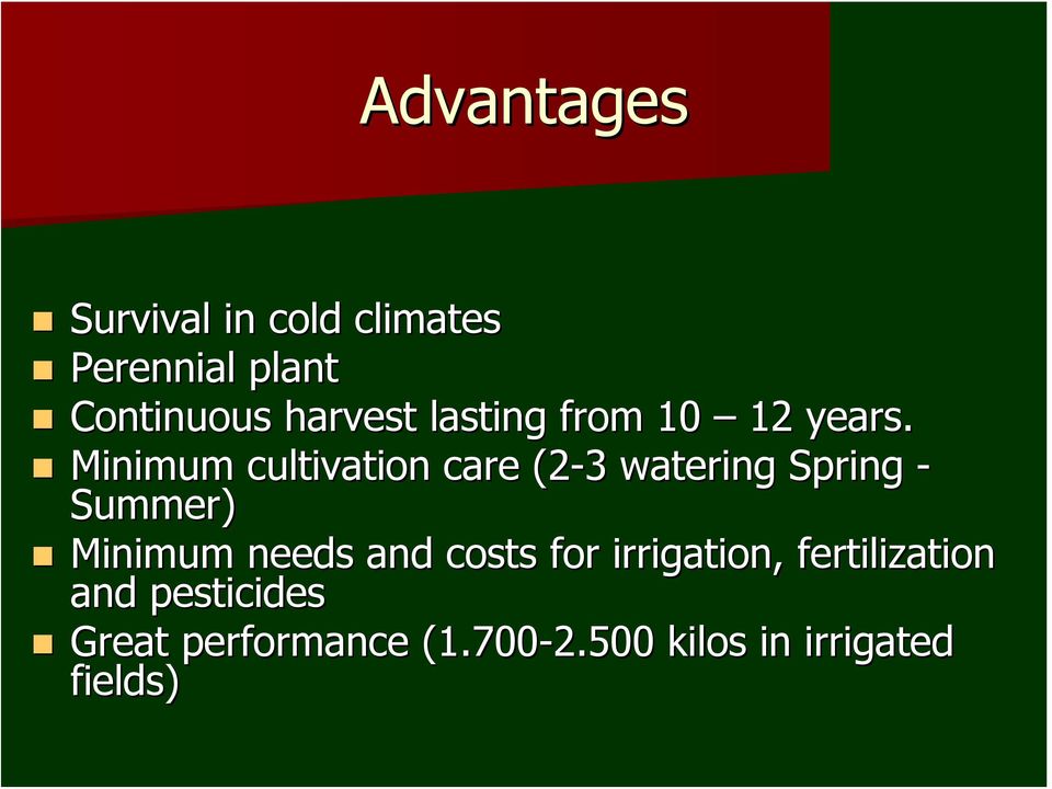 Minimum cultivation care (2-3 watering Spring - Summer) Minimum needs