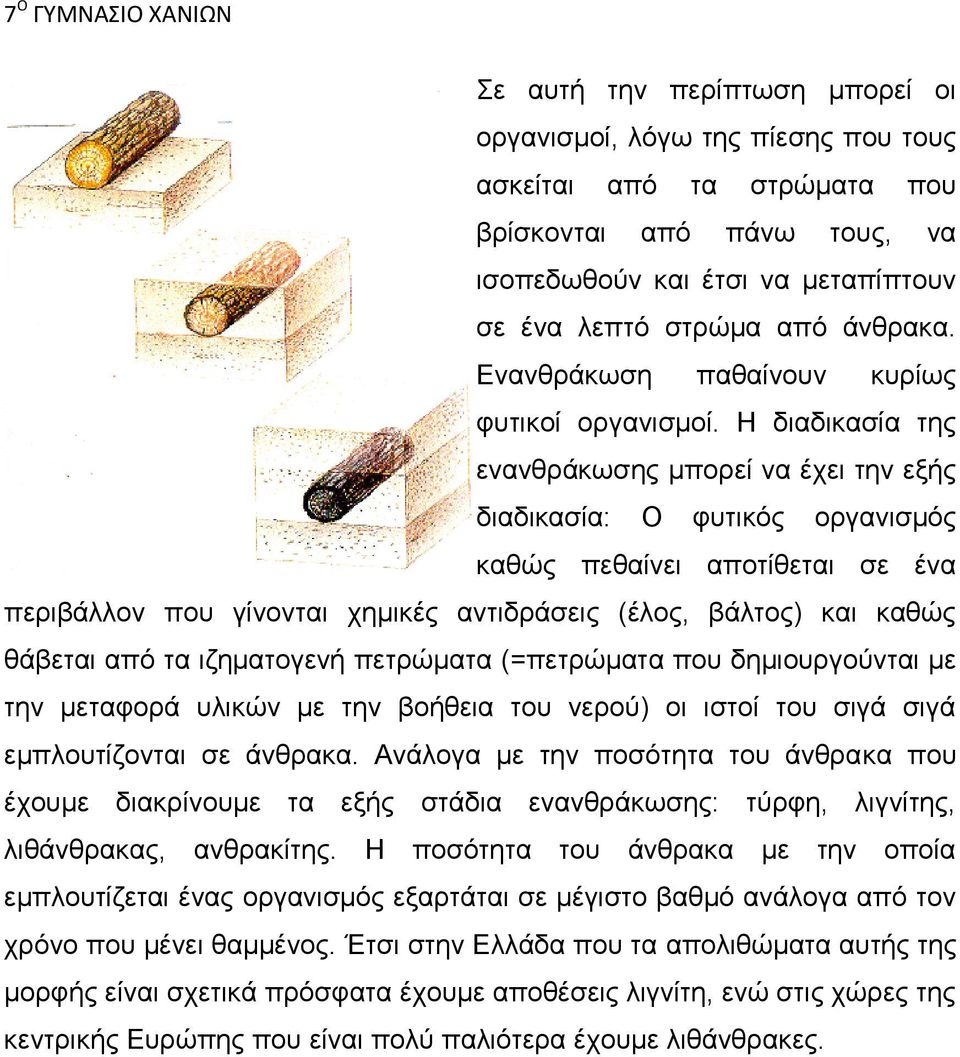 Η διαδικασία της ενανθράκωσης μπορεί να έχει την εξής διαδικασία: Ο φυτικός οργανισμός καθώς πεθαίνει αποτίθεται σε ένα περιβάλλον που γίνονται χημικές αντιδράσεις (έλος, βάλτος) και καθώς θάβεται