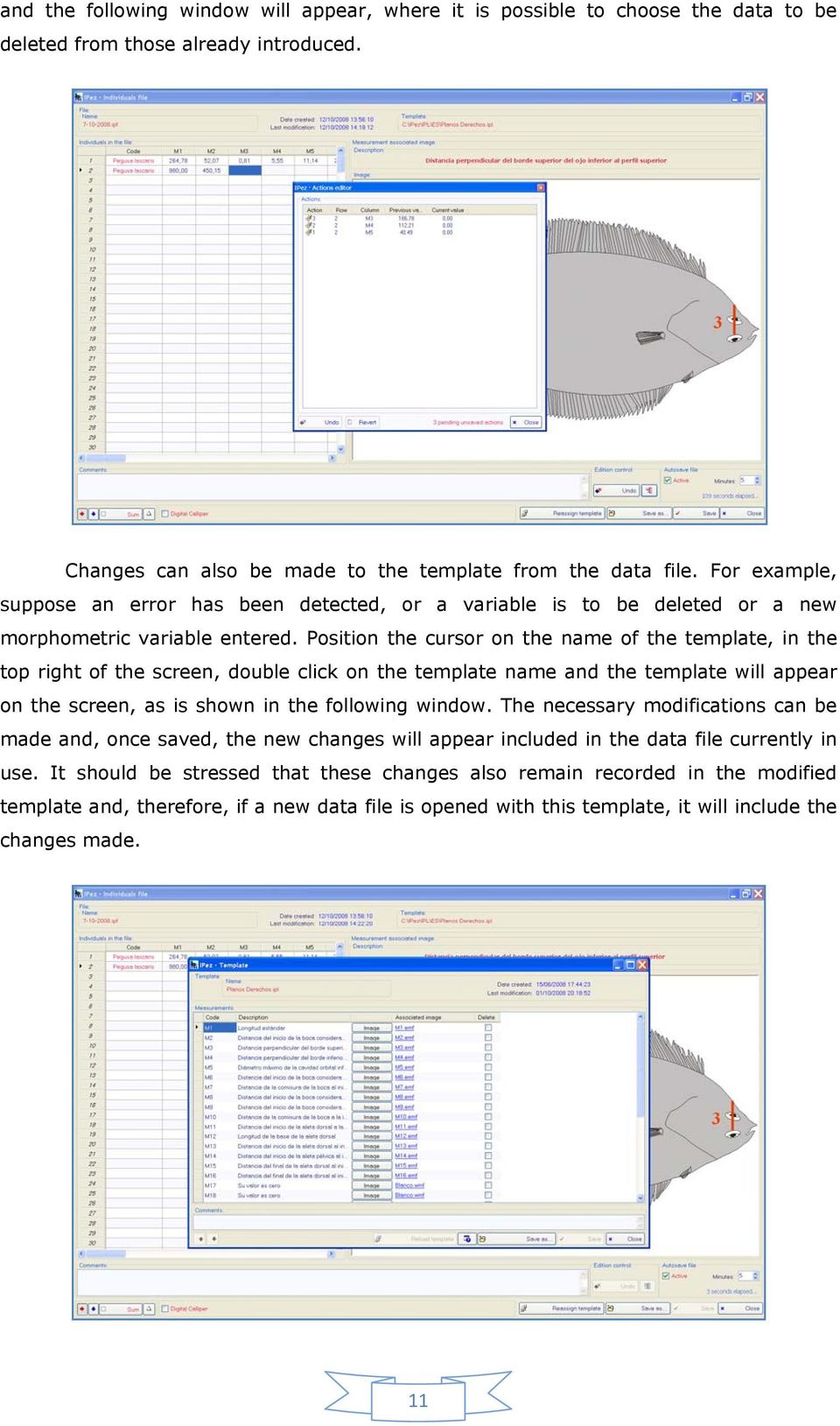 Position the cursor on the name of the template, in the top right of the screen, double click on the template name and the template will appear on the screen, as is shown in the following window.