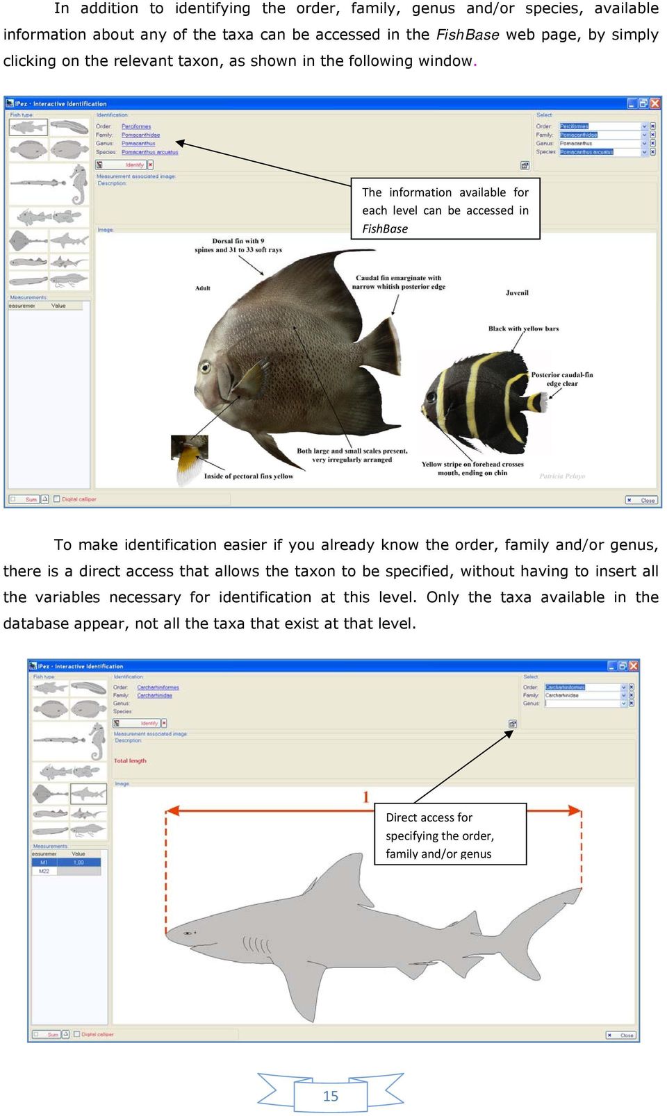 The information available for each level can be accessed in FishBase To make identification easier if you already know the order, family and/or genus, there is a direct