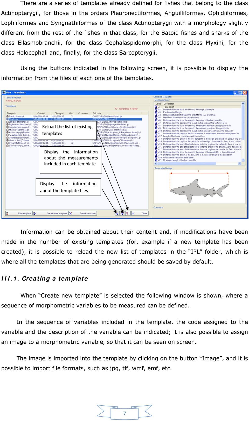 class Cephalaspidomorphi, for the class Myxini, for the class Holocephali and, finally, for the class Sarcopterygii.