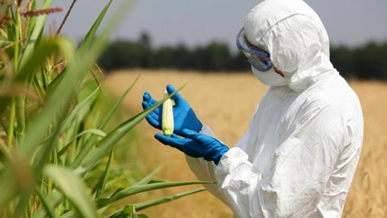 Μελλοντικά Επαγγέλματα «Αγρότες γενετικά τροποποιημένων τροφίμων» Οι αγρότες νέας γενιάς θα καλλιεργούν φυτά και θα