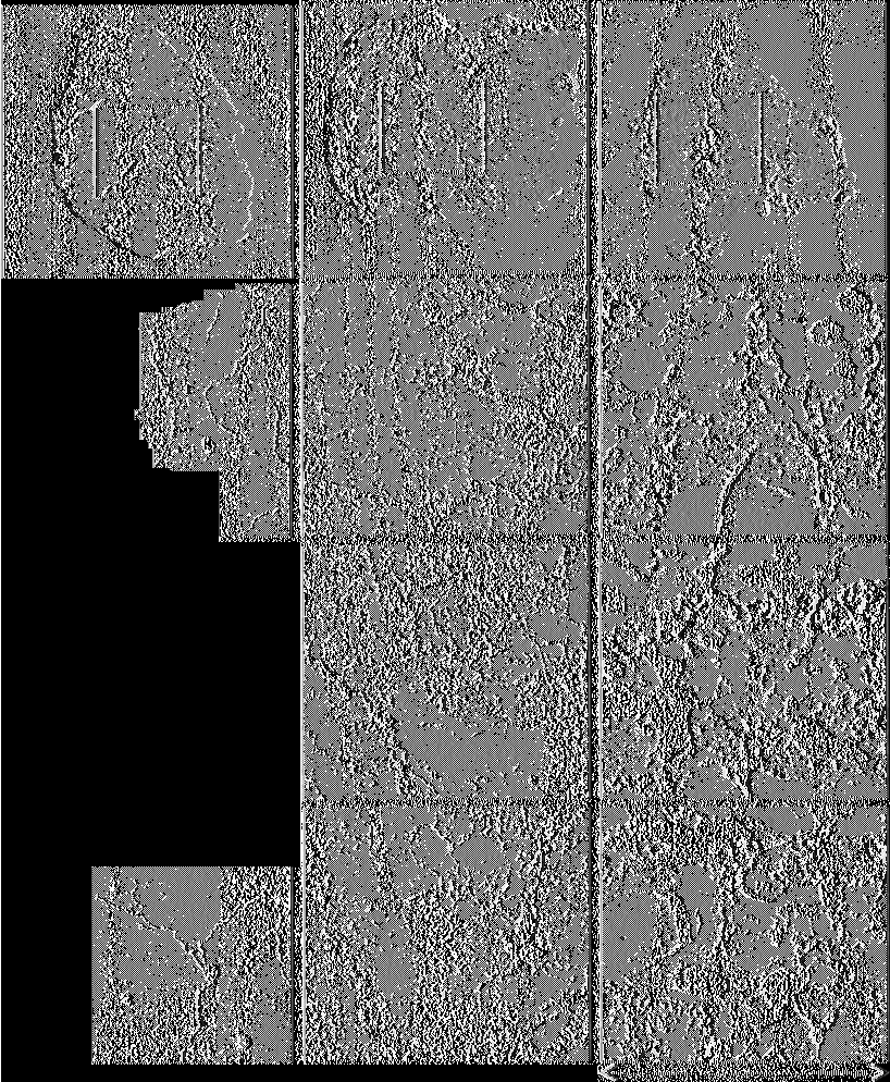 Aggregate o f TO Aggregate o f T5 Aggregate o f T15 Ammmmmmsm m mm ;~'v Α. ; :'λ-ϊ * ' _.. D 2 < ' 1 ' * *V, v ' t a. o H *, /.* $ La«12.45 mm 12.45 mm 12.45 mm Σγιίμα 11.