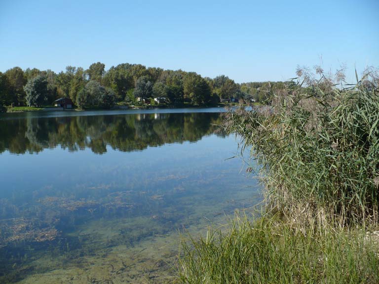 Počas letnej sezóny sa popri brehoch zhromažďuje súvislá vrstva chumáčov makrorias, tvoria ich najmä druhy rodov Spirogyra (závitnicovka), Mougeotia (mužócia), Zygnema (jarmovka), Cladophora (žabí