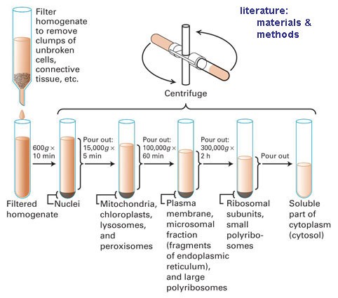 Aplicatii biomedicale -