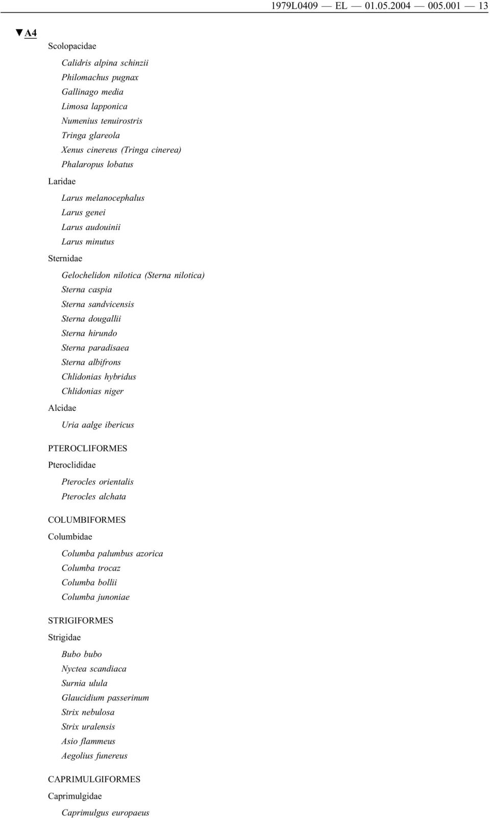 melanocephalus Larus genei Larus audouinii Larus minutus Sternidae Gelochelidon nilotica (Sterna nilotica) Sterna caspia Sterna sandvicensis Sterna dougallii Sterna hirundo Sterna paradisaea Sterna