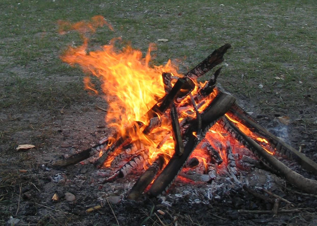 Η φωτιά Στην εποχή μας έχουμε τα μέσα να ανάβουμε κάθε είδους φωτιά και δεν μπορούμε να φανταστούμε πόση σημασία είχε η έλλειψή της στους προγόνους μας, τους πρώτους ανθρώπους.