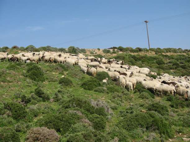 Συστήματα χωρίς μετακίνηση 2/4 Ημιεκτατικό σύστημα