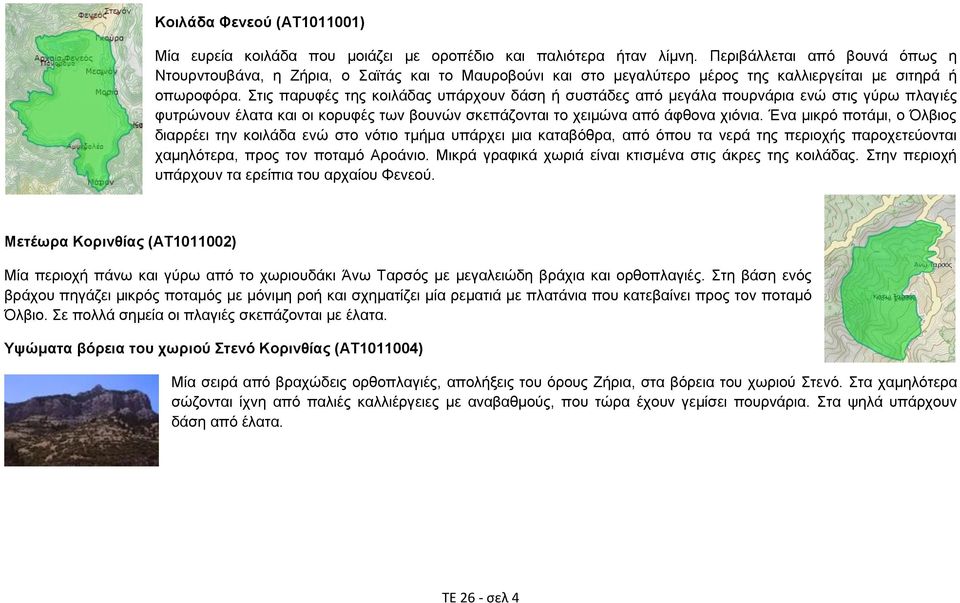 ηηο παξπθέο ηεο θνηιάδαο ππάξρνπλ δάζε ή ζπζηάδεο από κεγάια πνπξλάξηα ελώ ζηηο γύξσ πιαγηέο θπηξώλνπλ έιαηα θαη νη θνξπθέο ησλ βνπλώλ ζθεπάδνληαη ην ρεηκώλα από άθζνλα ρηόληα.