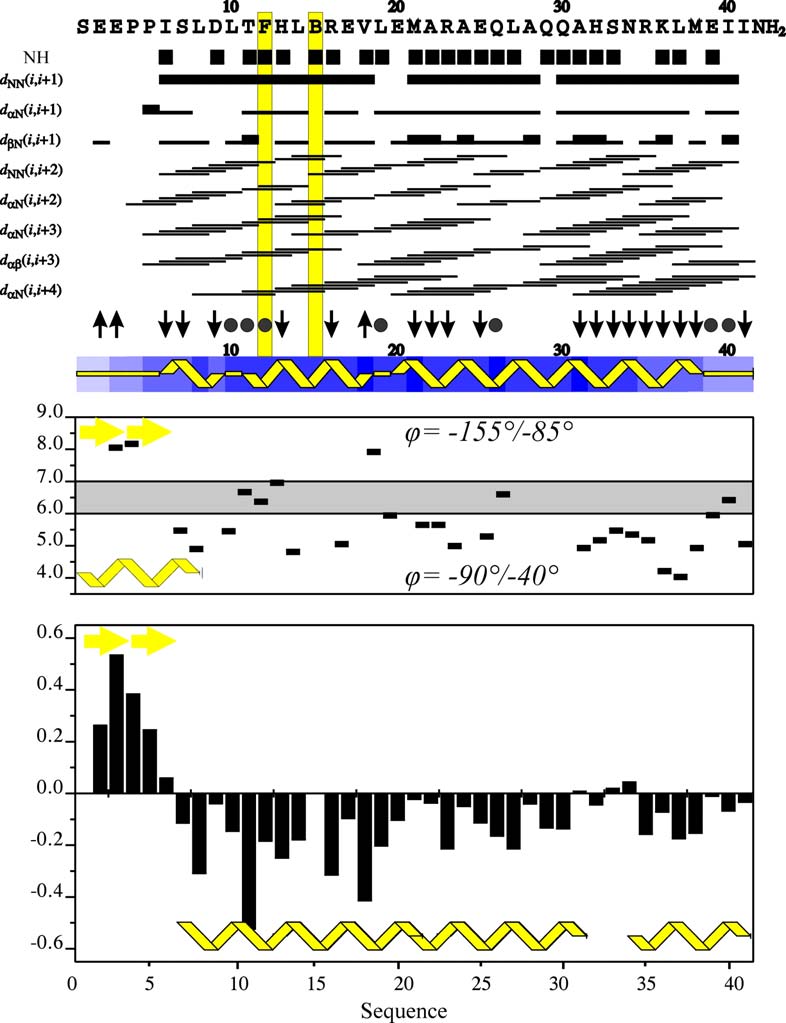 Κεφάλαιο 18 Διαμορφωτική Μελέτη μέσω NMR Sequential NOEs 3 J Hα-ΗΝ α-helix 3 J Hα-HN