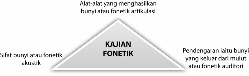 diucapkan oleh manusia melalui alat artikulasi. Kajian tentang fonetik 2.