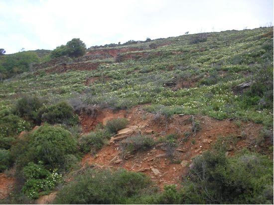 Εικόνα 28. Η κοιλάδα στην Άρνη και οι γειτονικές πλαγιές του 9350.