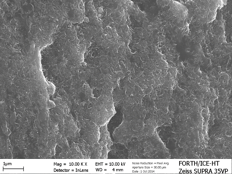 Εικόνα 42. Φωτογραφία μεγέθυνσης 30.000x της επιφάνειας HCNT φιλμ όπου διακρίνεται η θάλασσα από νανοσωλήνες άνθρακα.