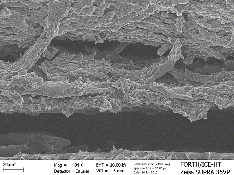 Σε αυτές τις εικόνες από το SEM παρατηρούμε τη διασπορά των γραφενικών νανοπλακιδίων (βλ. βέλη) καθώς και το μέγεθός τους εντός του PVP που συνθέτει το φιλμ.