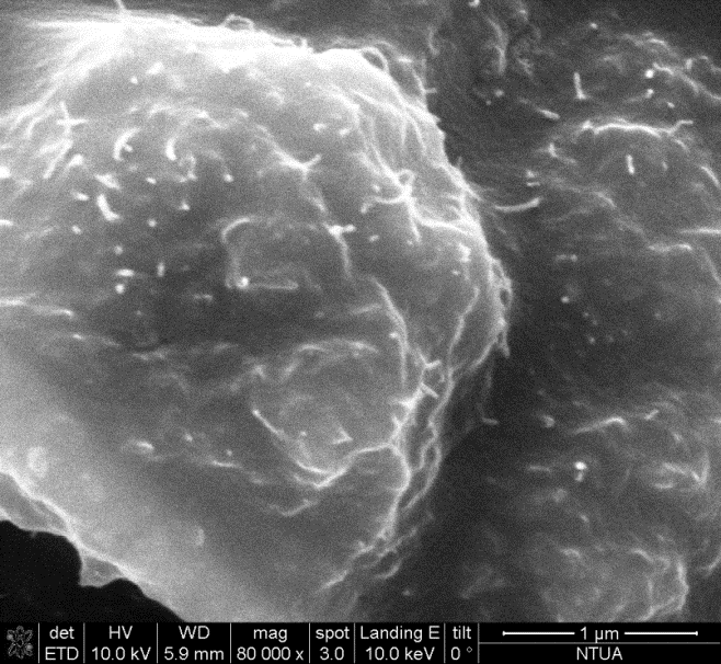 Figure 6 SEM on sample PDMS +0.04phr CNTs + surfactant Samples of 0.04phr CNTS with and without surfactant were studied by SEM.