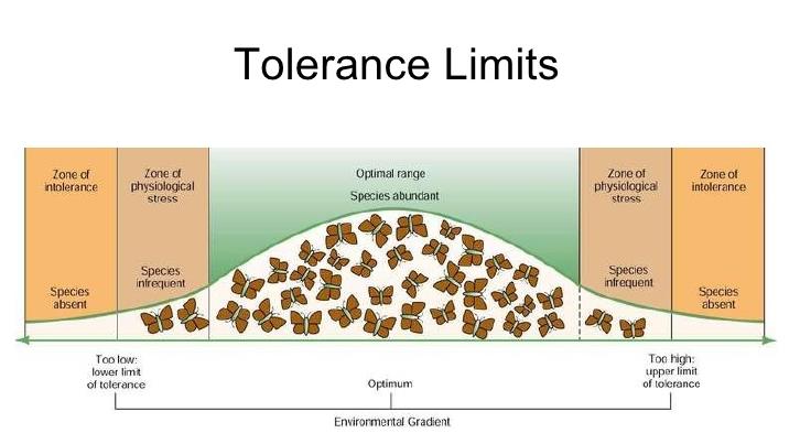 Τι καθοδηγεί όμως την κατανομή των ειδών; Όλα τα είδη έχουν όρια ανοχής για