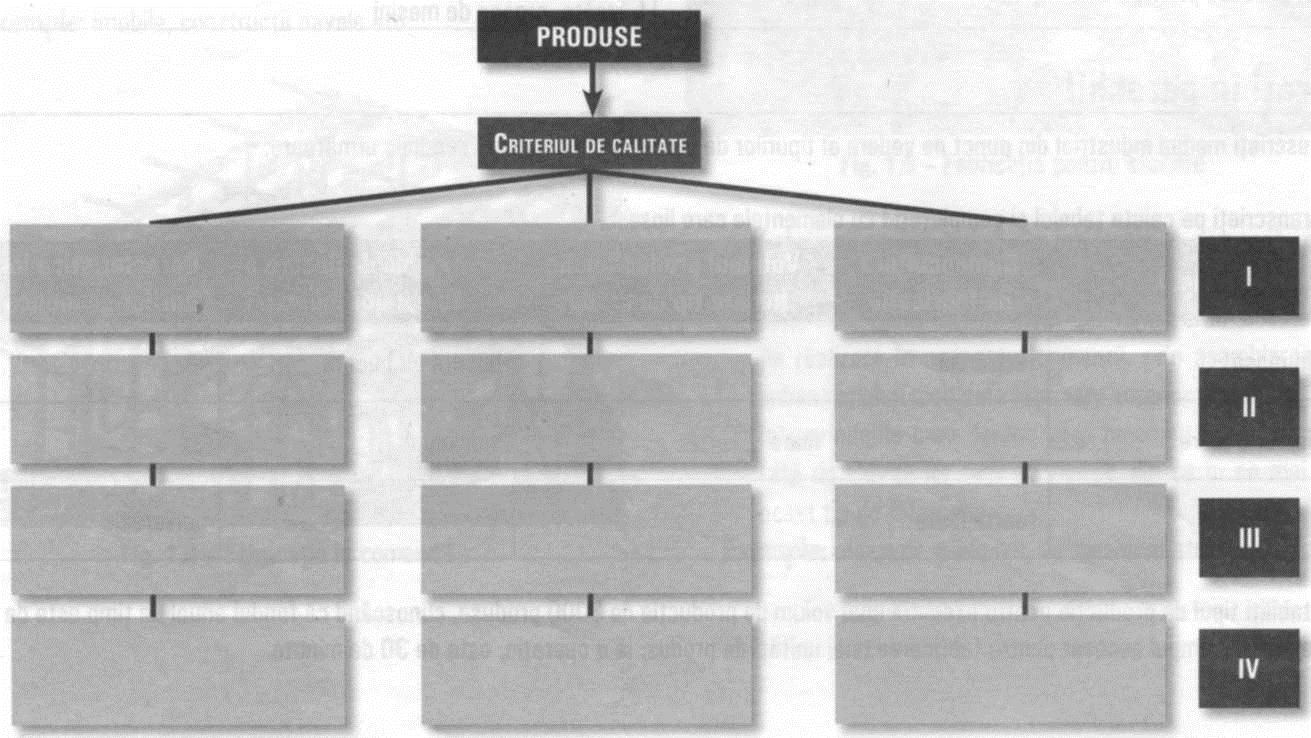 COLEGIUL TEHNIC METALURGIC SLATINA - OLT Nume Și Prenume Elev Clasa Data Fișă de lucru Criterii de clasificare a produselor Copiază pe o coală format A4 schema de mai jos, apoi completează spaţiile