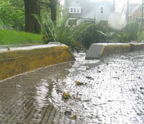 NE Siskiyou Green Street οι κήποι βροχής λειτουργούν σαν φίλτρα για το καθαρισμό των όμβριων υδάτων πριν αυτά φτάσουν στο φρεάτιο το