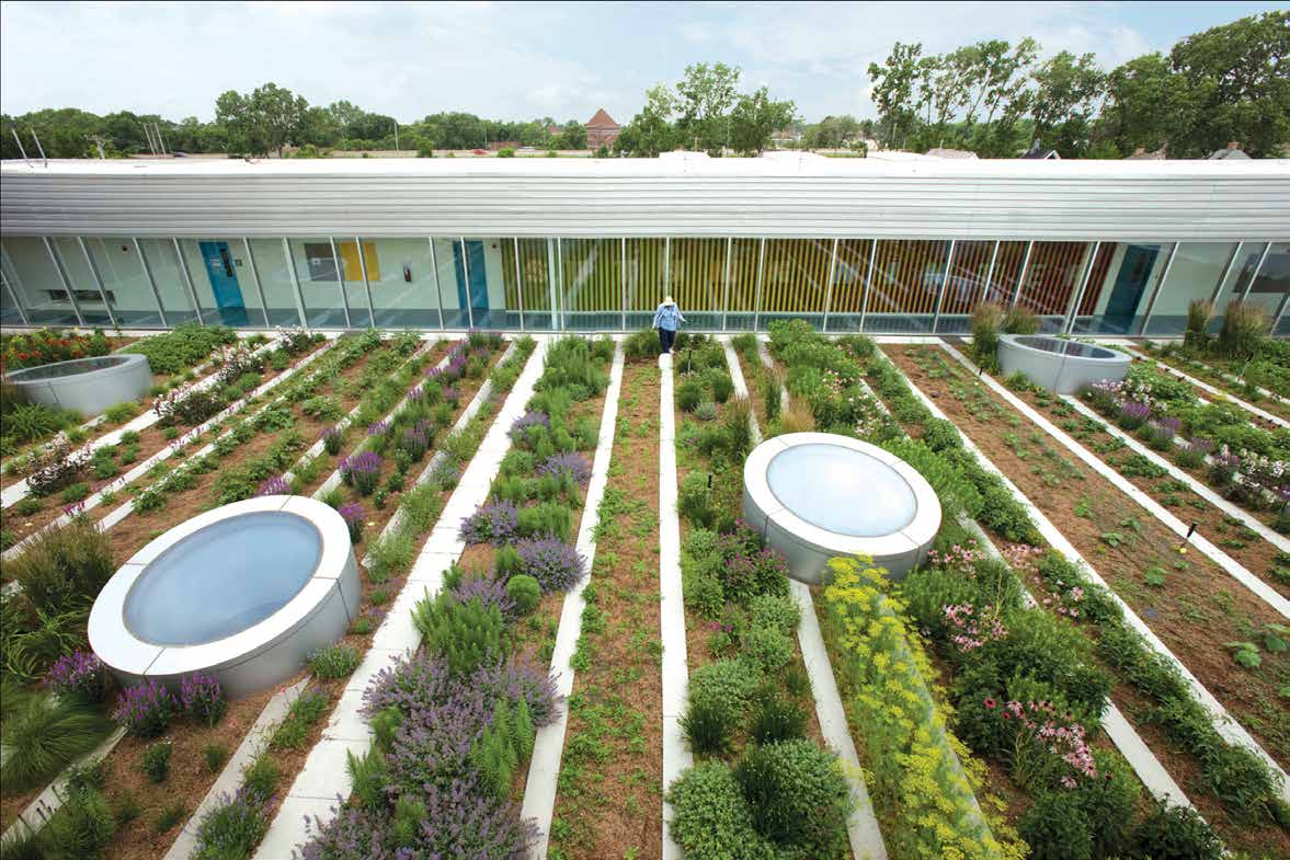 πράσινα δώματα Κέντρο Νεότητας Gary Comer / Σικάγο, ΗΠΑ (2006) - Hoerr Schaudt Landscape Architects δημιουργία πράσινου δώματος - κήπου
