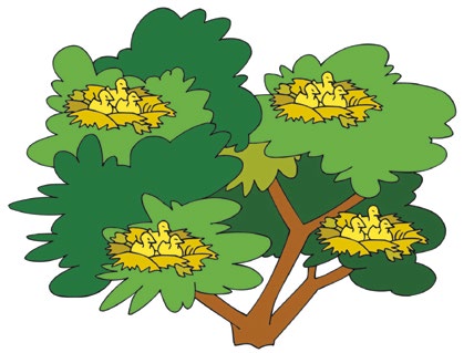 62 προβλήματα προβλήματα Β Επάνω στο δένδρο υπάρχουν 4 φωλιές. Σε κάθε φωλιά κάθονται 3 πουλάκια.