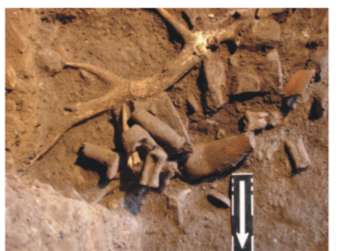Ευρήματα της Μεσολιθικής περιόδου αποτελούν τα φυτικά υπολείμματα ανθρωπογενούς χαρακτήρα και θραύσματα λιμναίων οστρέων, τα οποία συνέλλεγαν οι χρήστες του σπηλαίου. Τα λίθινα εργαλεία είναι σπάνια.