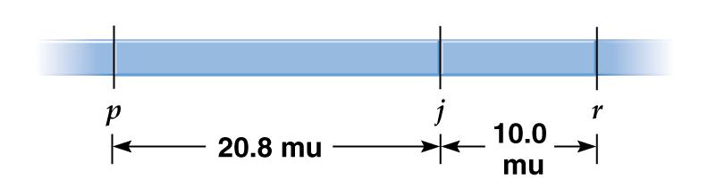 30.8 mu Peter J.