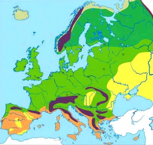 Ρέικιαβικ ουβλίνο Λονδίνο 1 2 3 Παρίσι Μόναχο Ελσίνκι Αγ. Πετρούπολη Όσλο Στοκχόλμη Μόσχα Μινσκ Βαρσοβία Βιέννη Κίεβο 4 Μαδρίτη Βαρκελώνη Ρώμη 5 Σόφια 6 Αθήνα 24.