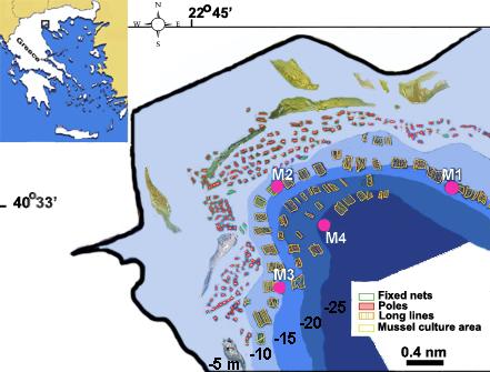 Εικόνα. Η θαλάσσια περιοχή ανάπτυξης μονάδων μυδοκαλλιεργειών στη Χαλάστρα. Ο χάρτης προέρχεται από επεξεργασμένη αεροφωτογραφία του ΕΚΘΕ (200) όπου σημειώθηκαν οι σταθμοί της παρούσας μελέτης. 2.