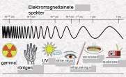 Ioniseeriv kiirgus. Kiirgusdoosid. Ioniseerivat kiirgust kasutav radioloogiline aparatuur. Mare Lintrop 29.