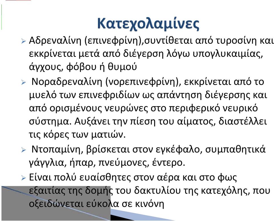 σύστημα. Αυξάνει την πίεση του αίματος, διαστέλλει τις κόρες των ματιών.