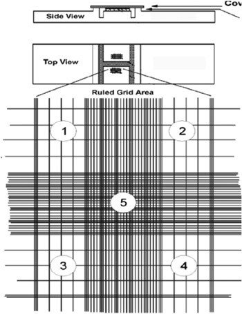 Η μέτρηση των κυττάρων γίνεται σε ένα από τα τετράγωνα 1, 2, 3, 4 Η επιφάνεια καθενός από αυτά τα τετράγωνα είναι : E = 1mm x 1mm = 1mm 2 Το ύψος ανάμεσα στο αιμοκυτταρόμετρο