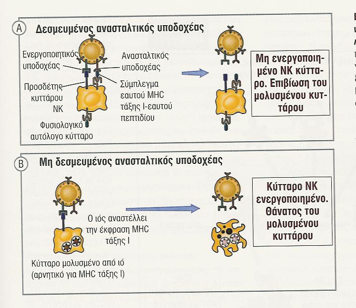 λάθος Ενεργοποιητικοί και