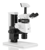 Πειραματική διαδικασία Στερεοσκόπιο Το Leica Μ125 είναι ένα στερεοσκόπιο με έγχρωμη ψηφιακή μηχανή για φωτογράφηση σε πραγματικό χρόνο.
