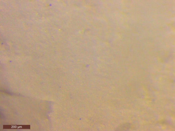 Αποτελέσματα 4.4 Φωτογραφίες Στερεοσκοπίου Στις Εικόνες 22 και 23 παρουσιάζεται ως δείγμα αναφοράς ο καθαρός χρυσοτιλικός αμίαντος που αναμίχθηκε μόνο με Η2Ο.