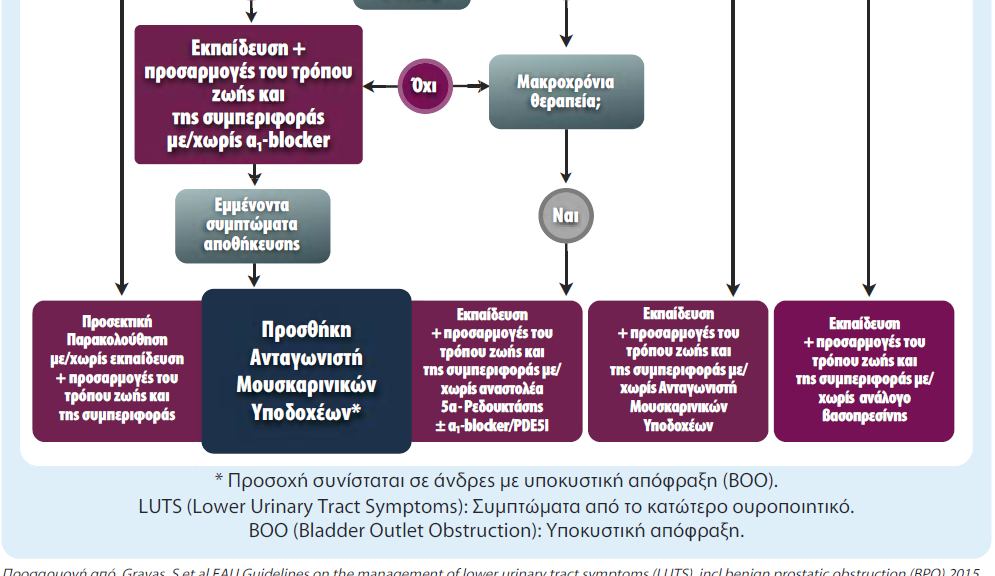 Ποιότητα ζωής Οι ασθενείς που έλαβαν σολιφενασίνη 6mg και TOCAS 0,4mg ανησυχούσαν λιγότερο για τα συμπτώματα και δεν χρειάστηκε να αλλάξουν πολύ τις