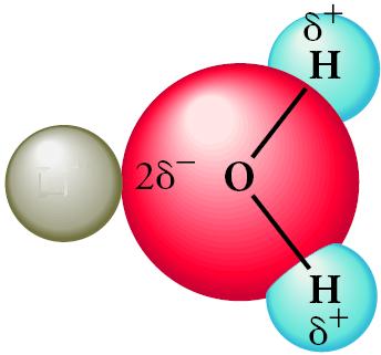 Έλξη ιόντων από μόρια νερού λόγω δυνάμεων ιόντος διπόλου (= υδάτωση) Na + Cl Η άκρη Ο του μορίου Η 2 Ο προσανατολίζεται προς το κατιόν, ενώ ένα άτομο Η προσανατολίζεται προς το ανιόν.