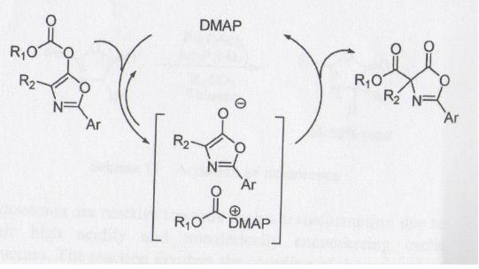 Σχήμα 8 : Στερεοεκλεκτική αντίδραση Οξαζόλες Η δομή των οξαζολών βρίσκεται σε μια μεγάλη ποικιλία βιολογικής σημασίας μορίων.