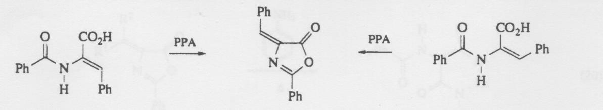 δώσουν τα αντίστοιχα (Ε) ισομερή σε άριστη απόδοση. Αναφέρεται ότι το ιππουρικό οξύ δεν μετατρέπεται σε αζλακτόνη σε PPA, που είναι το γενικά το λαμβανόμενο προϊόν από την Erlenmeyer σύνθεση.
