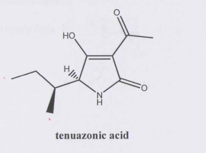 Το τενουαζονικό οξύ (tenuazonicacid) είναι το πρώτο υποκατεστημένο τετραμικό οξύ που απομονώθηκε από φυσικές πηγές.